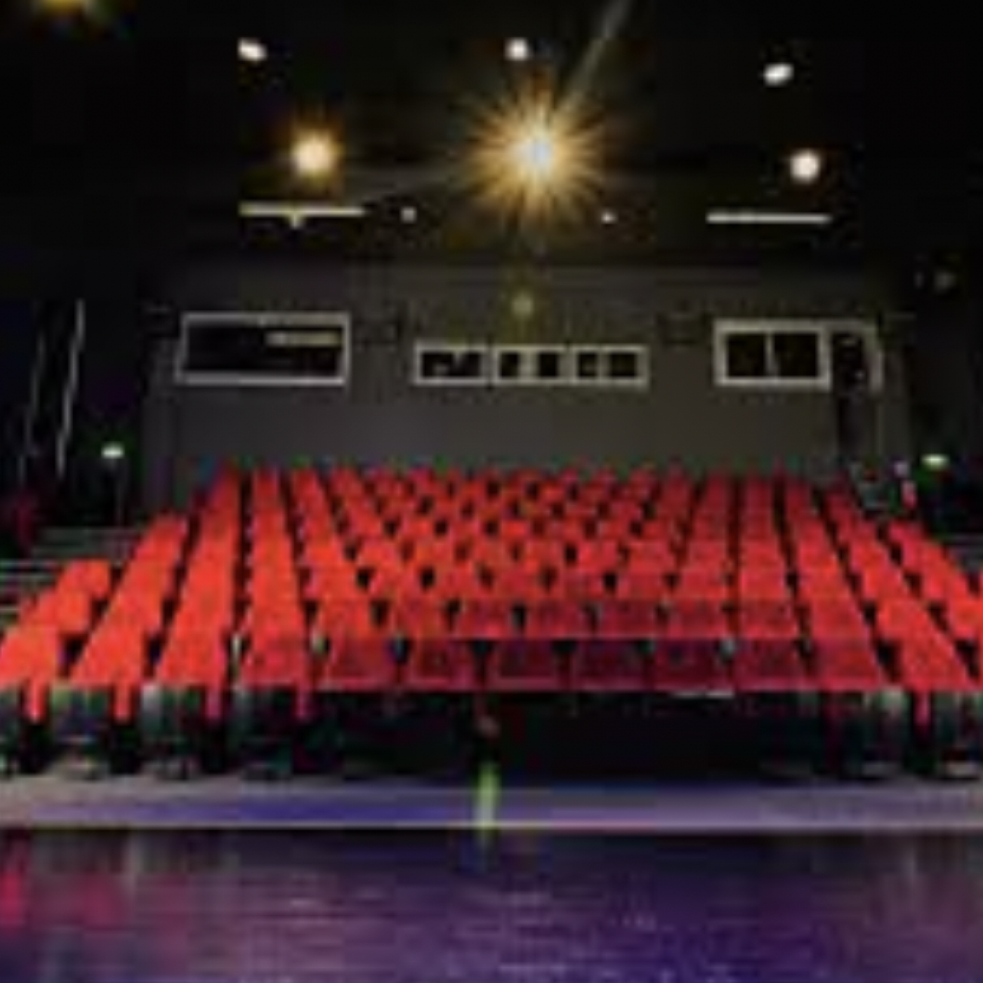 Marie-France Leccia, programmatrice cinéma à l&rsquo;Espace Magnan