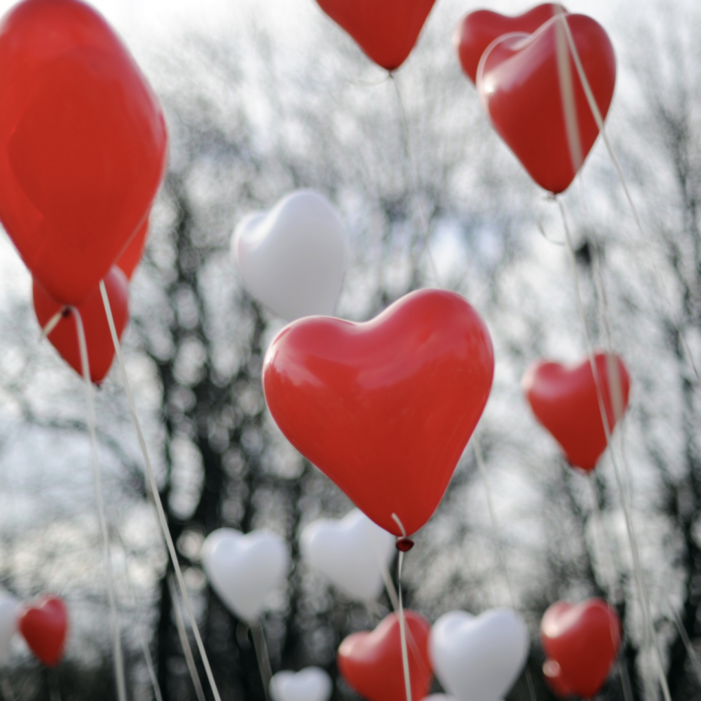 Qu&rsquo;est ce que la St-Valentin représente pour les azuréens ?