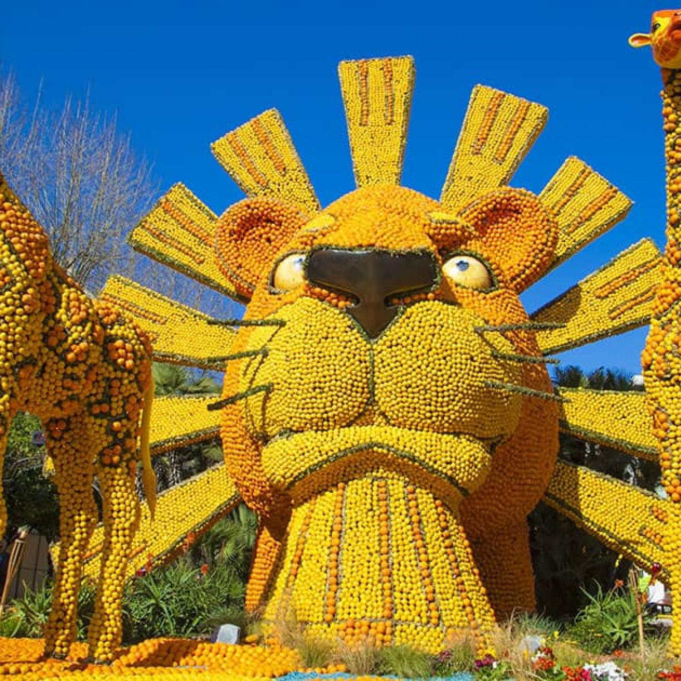 La fête du citron