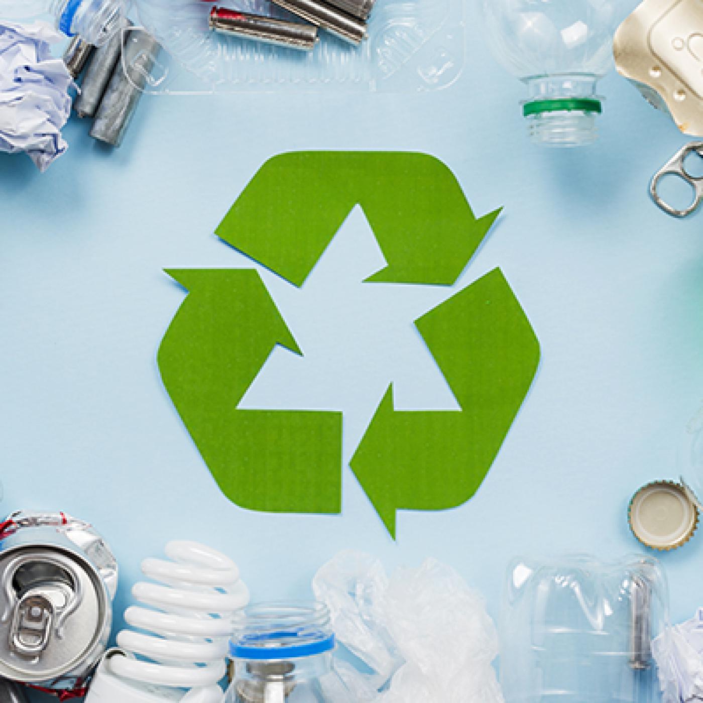 Recyclage des déchets verts à Cannes