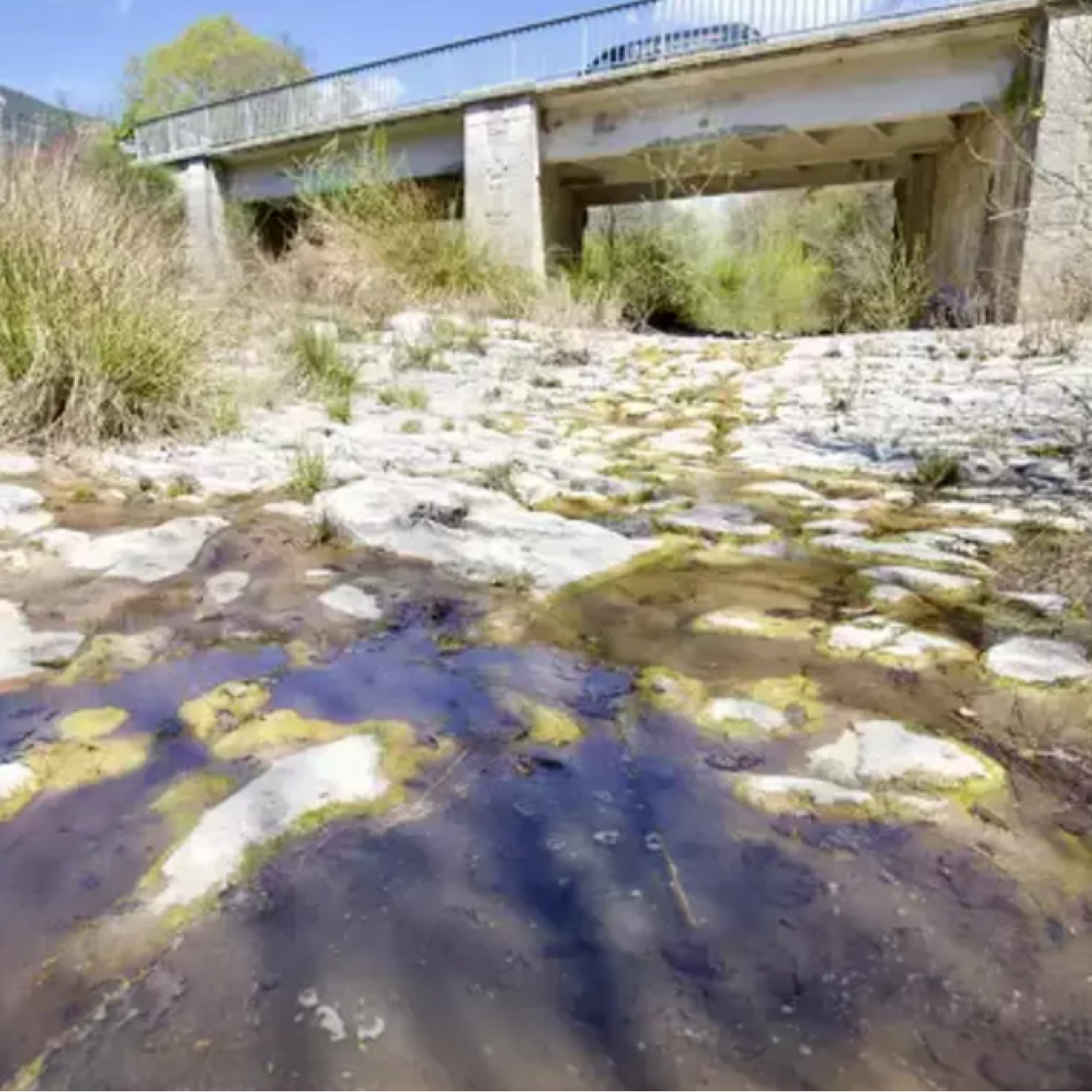 Les Alpes-Maritimes placées en alerte sécheresse, des mesures de restrictions annoncées