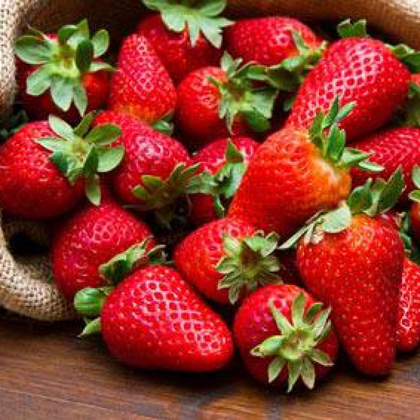 Fraise de Carros