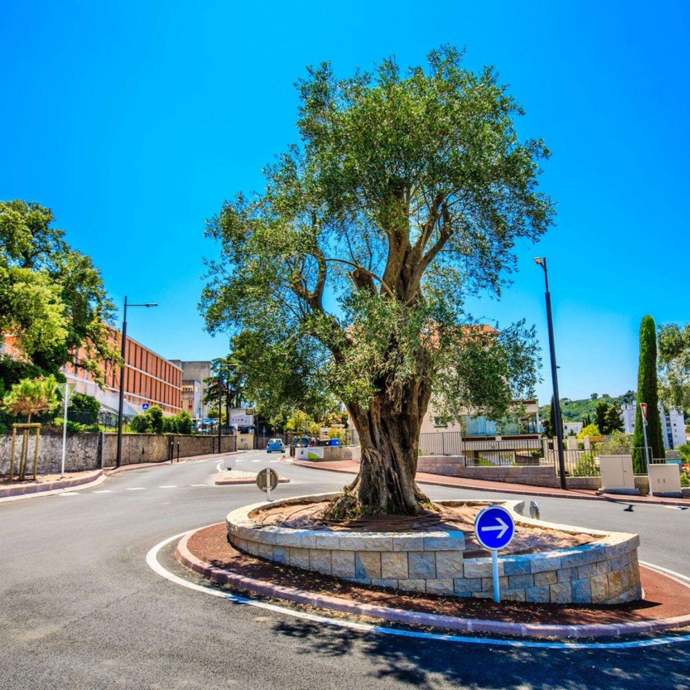 Cannes inaugure la phase terminal des travaux de l&rsquo;avenue de Grasse
