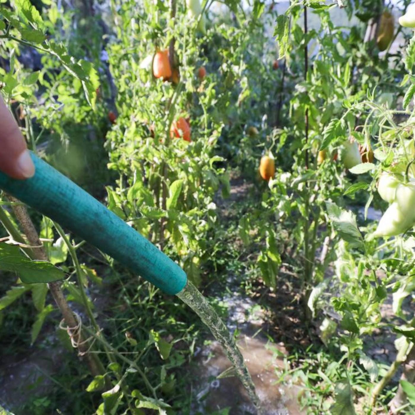 L&rsquo;alerte sécheresse pronlongée jusqu&rsquo;au 31 mai dans les Alpes Maritimes