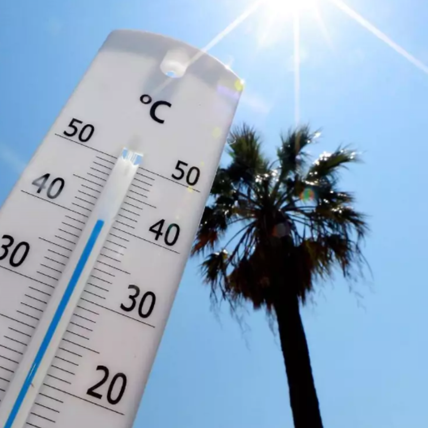Canicule : Les vacanciers en quête de fraîcheur à Nice