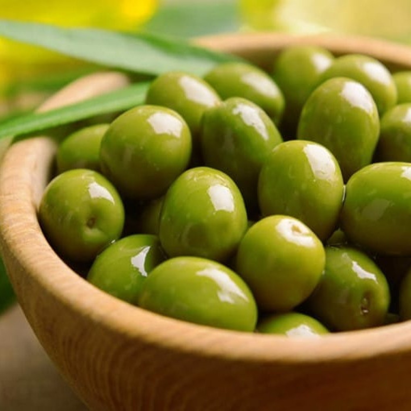 C&rsquo;est l&rsquo;heure de la récolte des olives à Villeneuve-Loubet