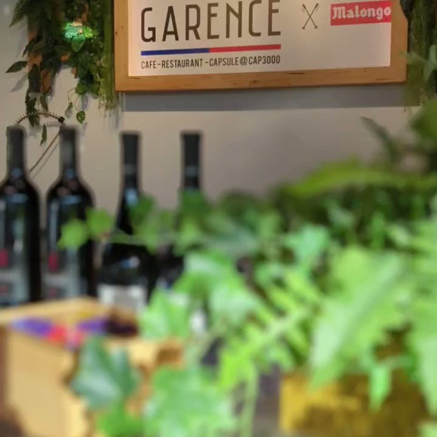 Café Garence