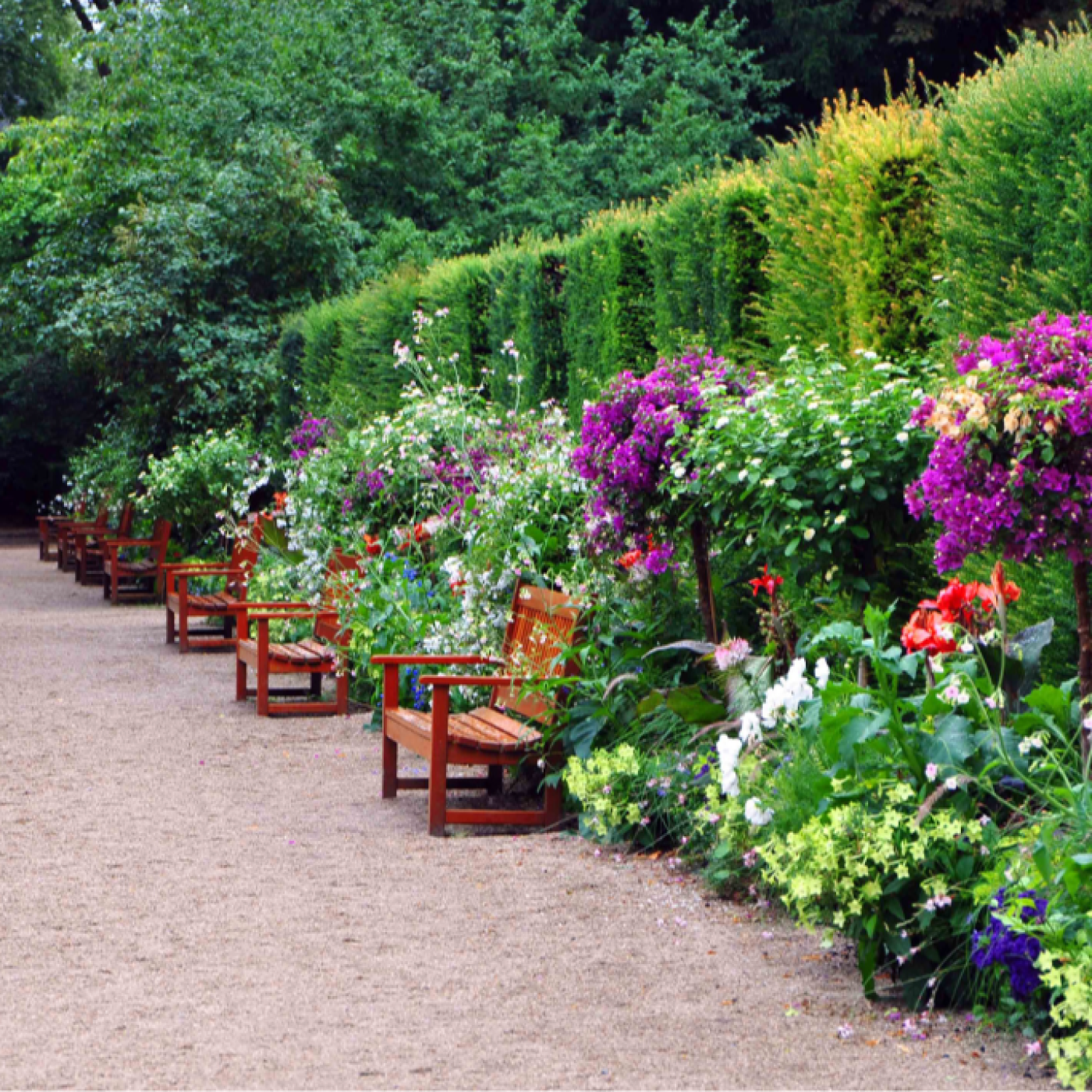 Festival Des Jardins