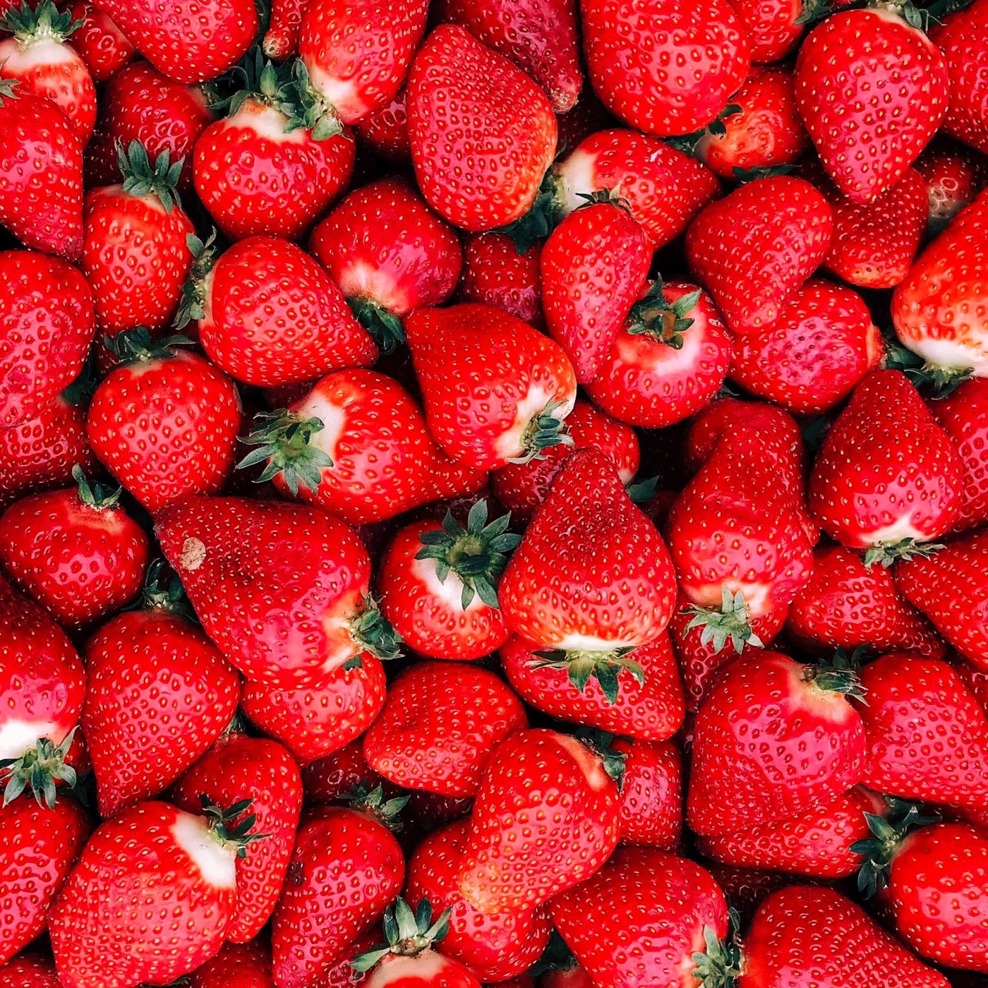 Les premières fraises de Carros sont arrivées !