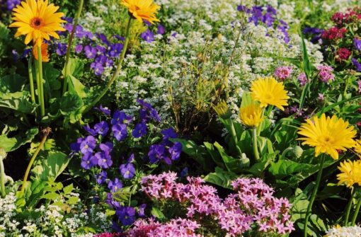 Festival des jardins de la Côte d&rsquo;Azur : 17 créations paysagères d&rsquo;exception à découvrir gratuitement jusqu&rsquo;au 1er mai !