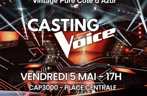 Casting The Voice